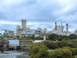 Domtar Espanola paper mill